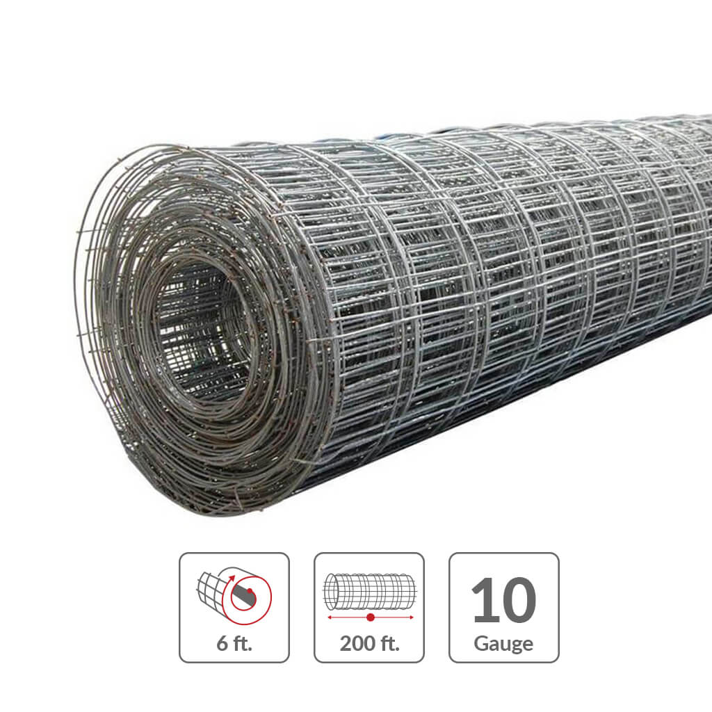 Wire Mesh Roll Wire Mesh Roll